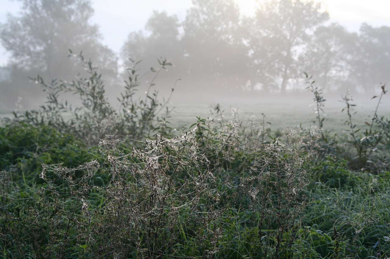 ЗАРВАНИЦЯ - СВЯТА ЗЕМЛЯ - Зарваниця