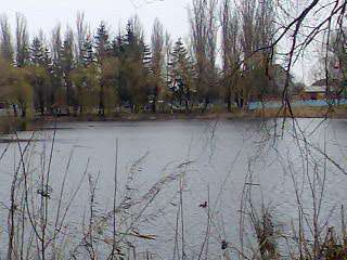 Моє улюблене село  - Пологи