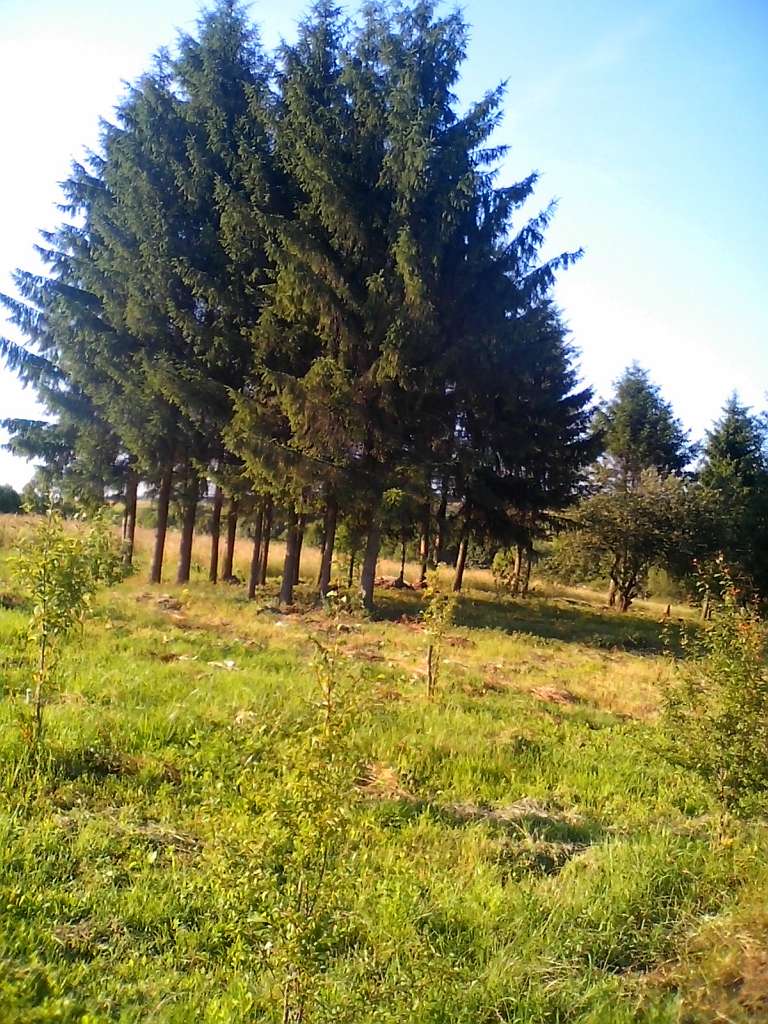 Хоросно 2014 - Хоросно