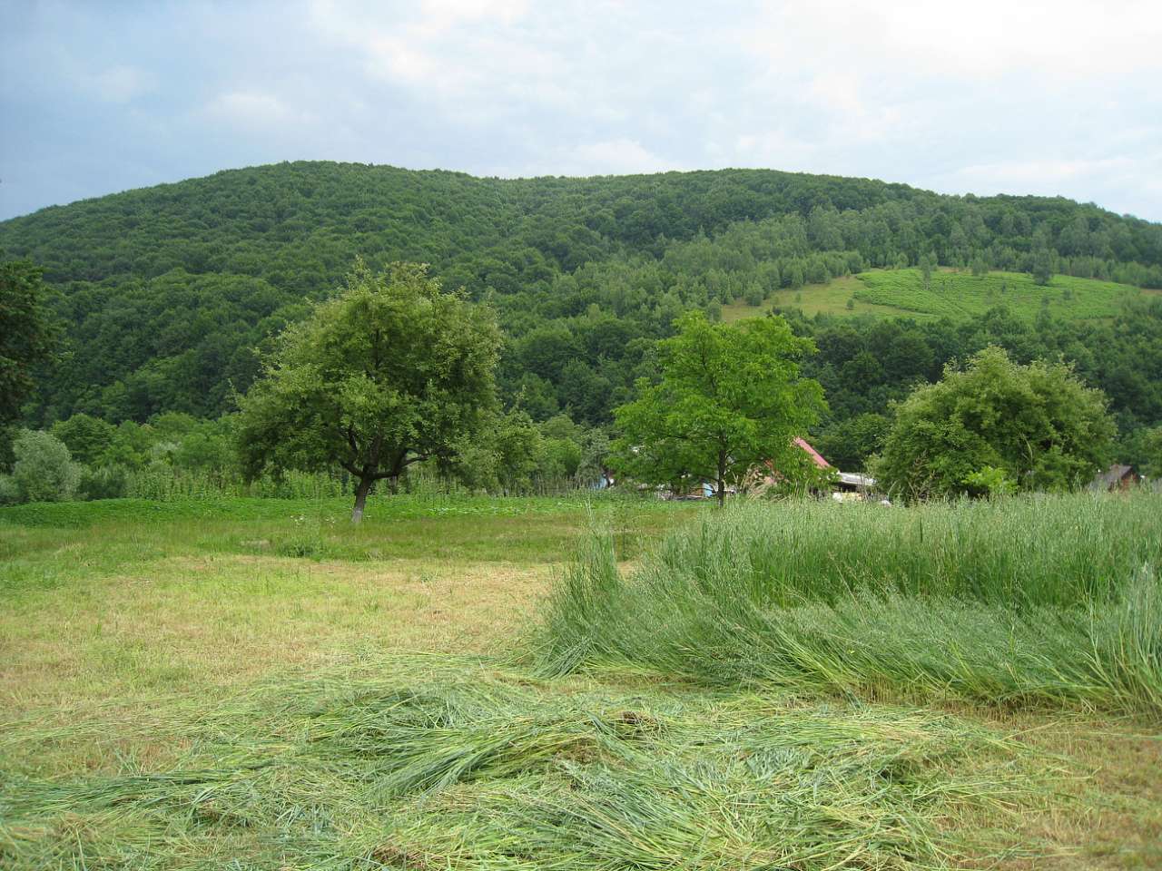 курорт Поляна - Поляна