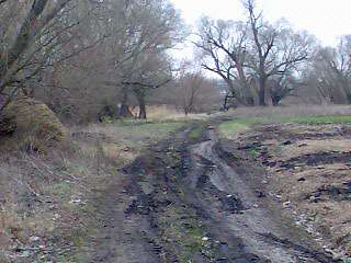 Моє улюблене село  - Пологи