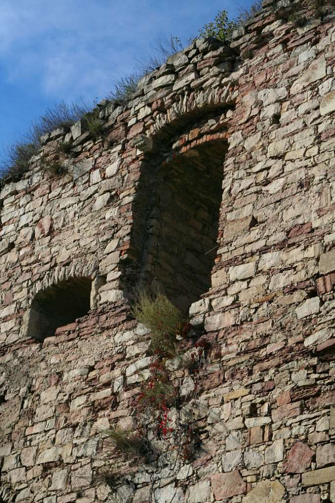 РУЇНИ ФОРТЕЦІ - Язловець