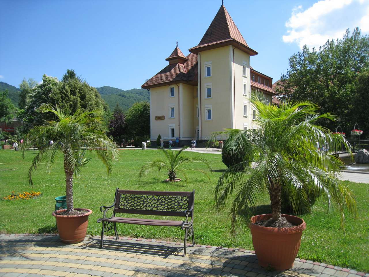 санаторій Квітка Полонини - Солочин