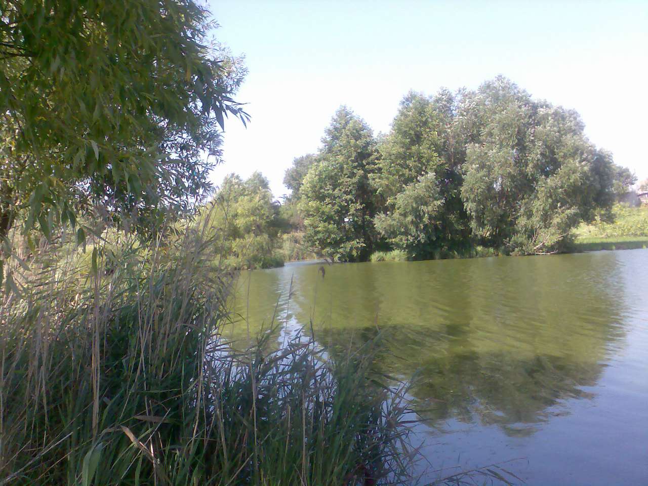 Моє улюблене село  - Пологи