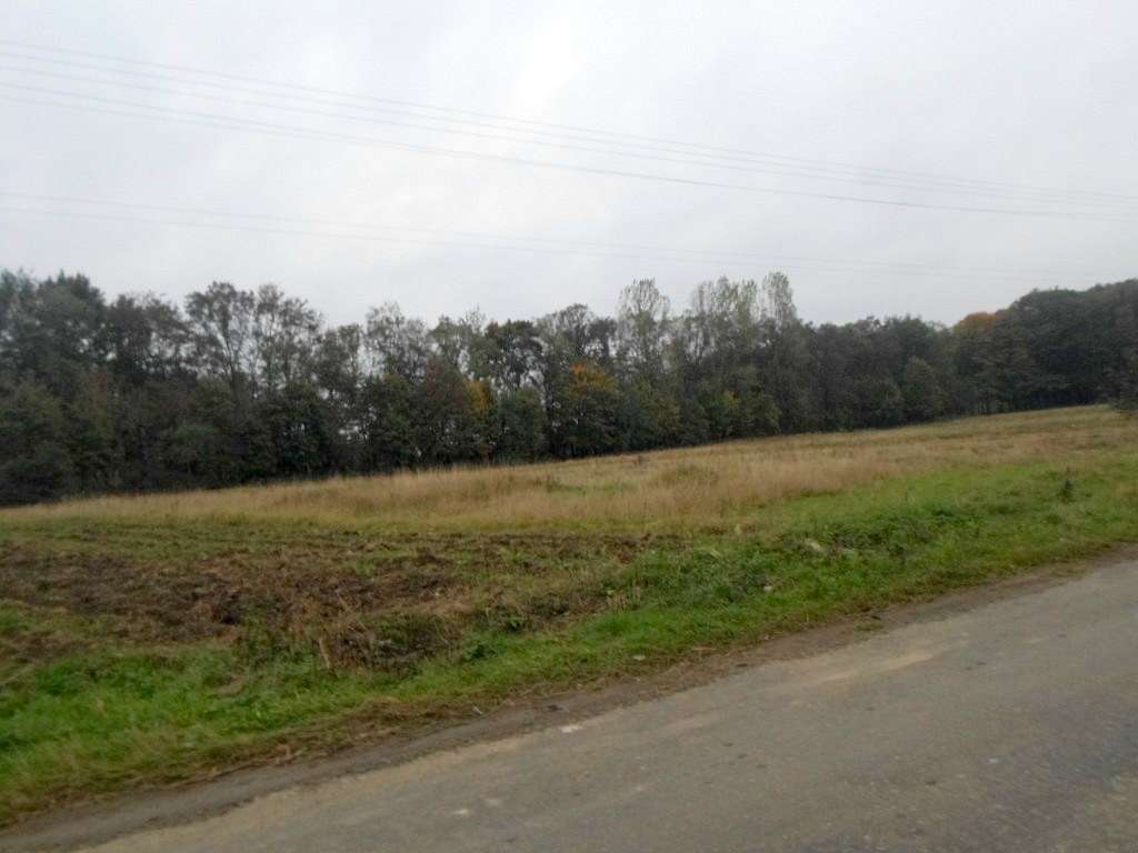 краєвид - Грабовець