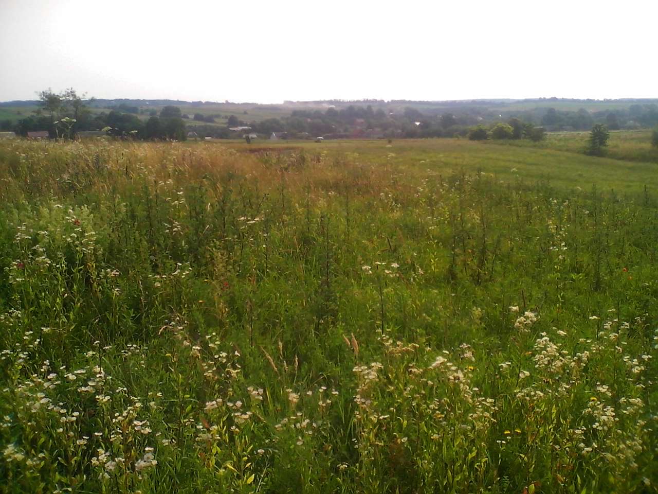 Хоросно 2014 - Хоросно