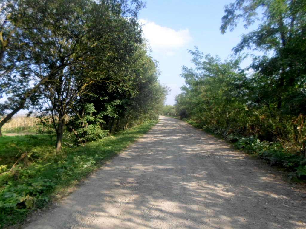 краєвид - Острів