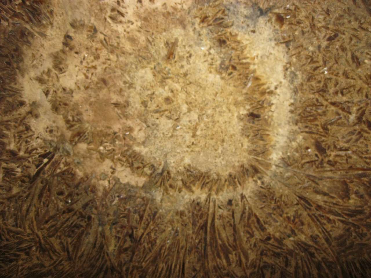 ПЕЧЕРА КРИШТАЛЕВА - Кривче