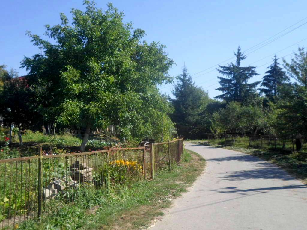 краєвид - Станков