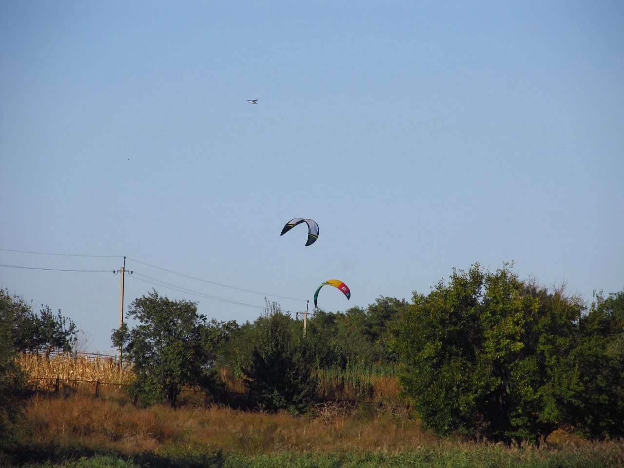 Жовтень 2015 р. - Нагірне