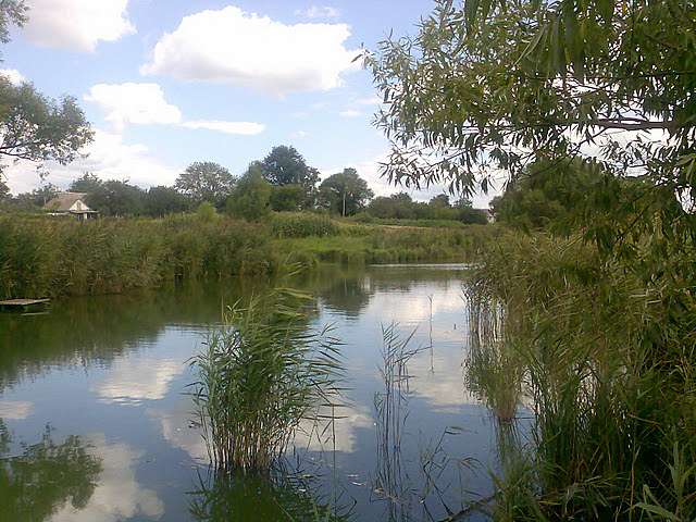 Моє улюблене село  - Пологи