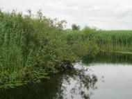 Хотешів з panoramio.com