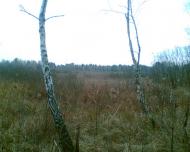 Ковалин з panoramio.com