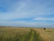 Горошине з panoramio.com