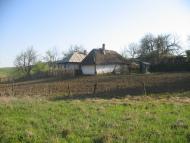 Тарасівці з panoramio.com