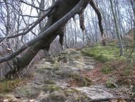 Розгірче з panoramio.com