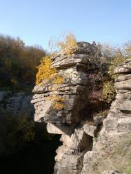 Буки з panoramio.com