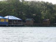 Дубівка - Останні фото