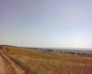 Виноградне з panoramio.com