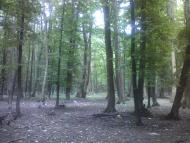 Сатанівка з panoramio.com