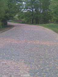 Нова Борова - Останні фото