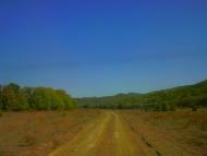 Синапне з panoramio.com