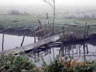 Долиняни з panoramio.com