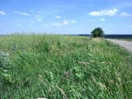 Войнівка з panoramio.com