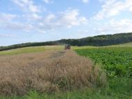 Острів з panoramio.com