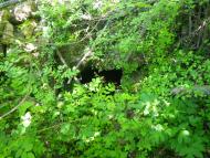 Високе з panoramio.com