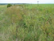 Рава-Руська з panoramio.com