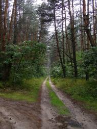 Зарічне з panoramio.com