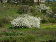 Піонерське - Останні фото