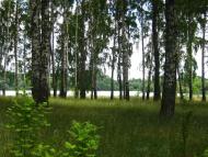 Дубовичі з panoramio.com