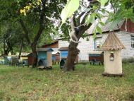 Волянщина - Останні фото