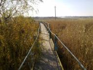 Грибівка з panoramio.com