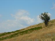 Виноградне з panoramio.com