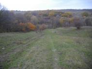 Никитовка - Последние фото