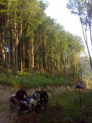 Лисичово з panoramio.com