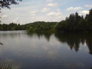 Угроїди з panoramio.com