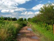 Нова Лішня - Останні фото