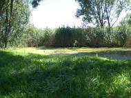 Усівка з panoramio.com