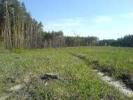 Курортне з panoramio.com