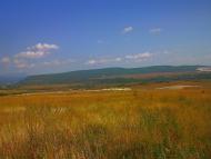 Новопавлівка з panoramio.com