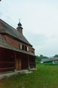 Чорноголова з panoramio.com