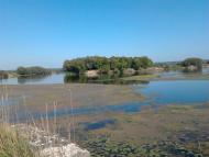 Пироговка - Последние фото