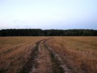 Велика Чернеччина з panoramio.com