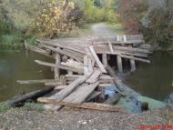 Рябушки з panoramio.com