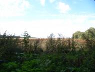 Веселий Кут - Останні фото