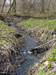 Середняки з panoramio.com